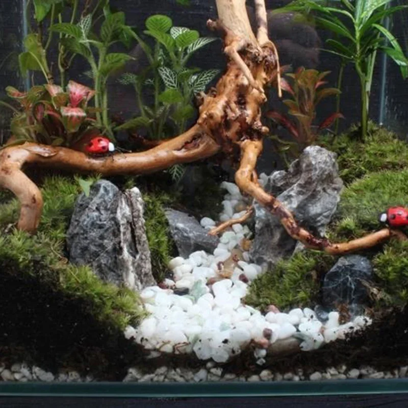 Natural Tree Tronco Driftwood  - Marine Aquarium For Sale avaliação e preço
