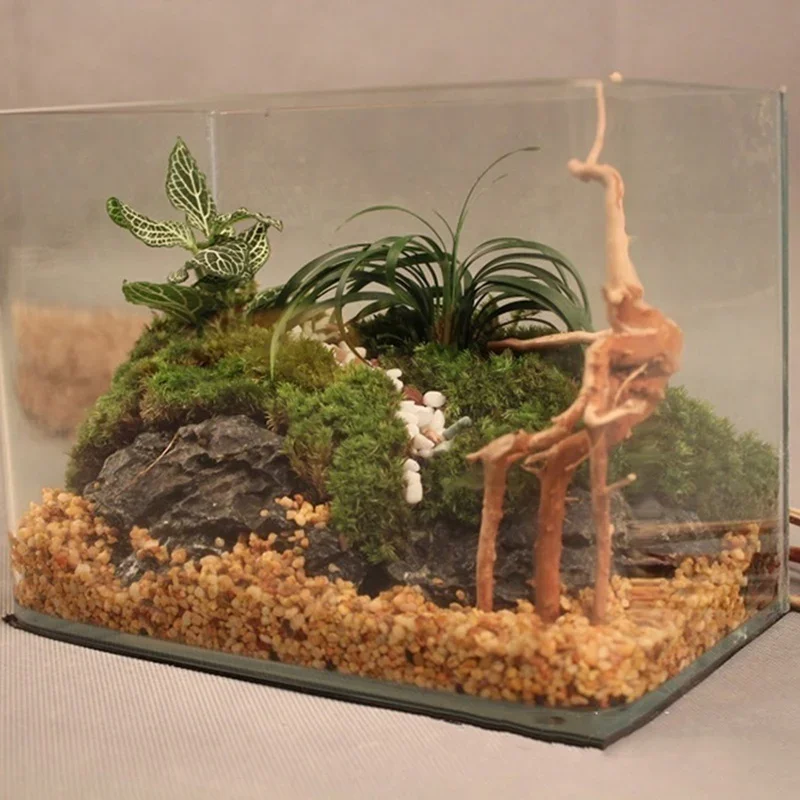 Natural Tree Tronco Driftwood  - Marine Aquarium For Sale avaliação e preço