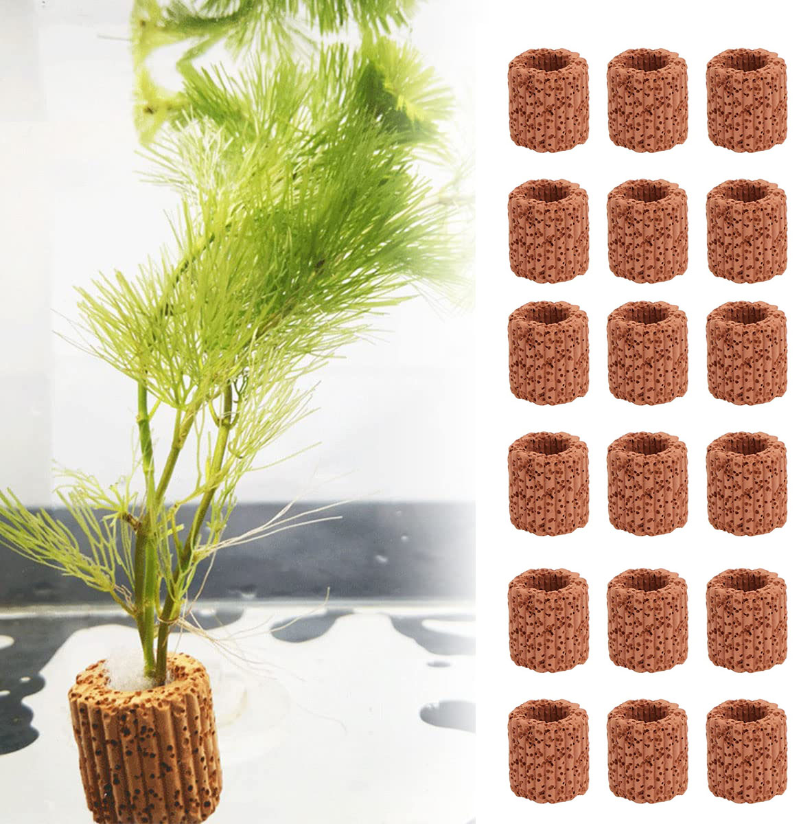 Aquatic Water Plant Fixed Ring - Marine Aquarium For Sale avaliação e preço