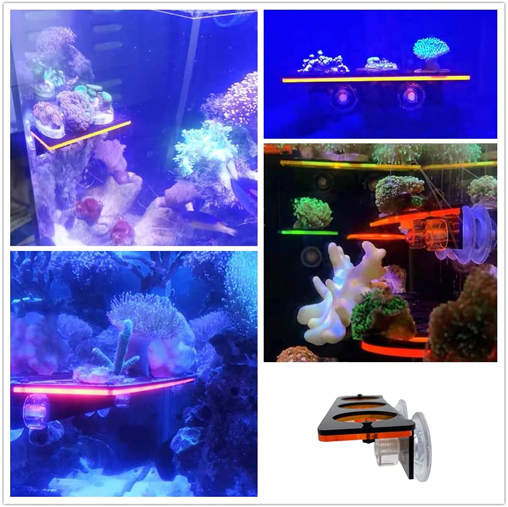 Fluorescente coral frag plug s - Marine Aquarium For Sale avaliação e preço